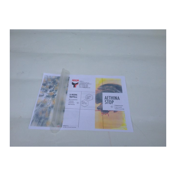 Kis kaptárbogár csapda