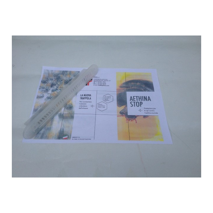 Kis kaptárbogár csapda