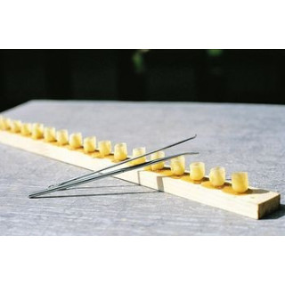 Bölcsőkezdet (viasz)