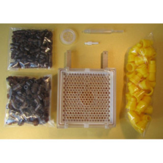 Jenter anyanevelő készlet (Sima)