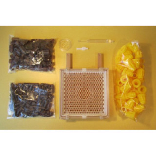 Jenter anyanevelő készlet (bordás)