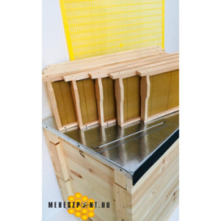 Start 1/2 NB Induló