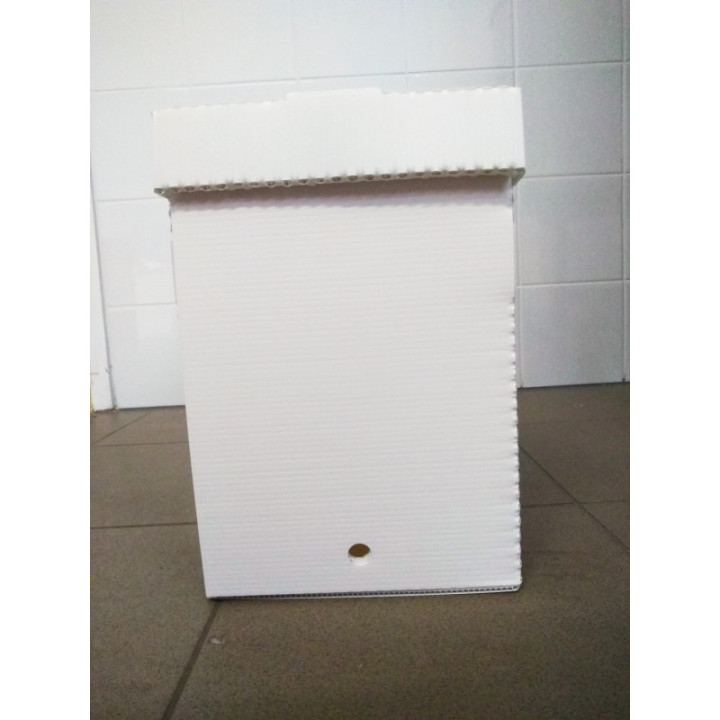 Hunor rajláda, lapra szerelt